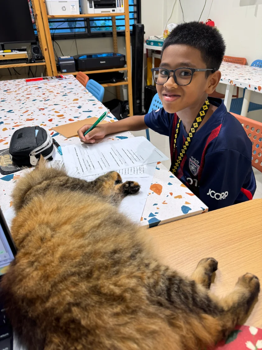 A smiling student working in class, with the classroom cat beside him